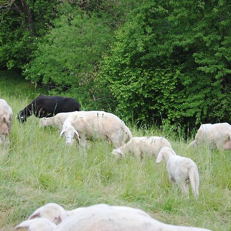 Landgasthof Seyrlberg Reichenau im Mühlkreis Buitenkant foto
