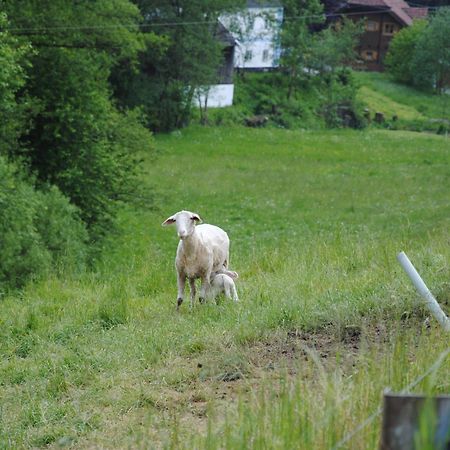 Landgasthof Seyrlberg Reichenau im Mühlkreis Buitenkant foto