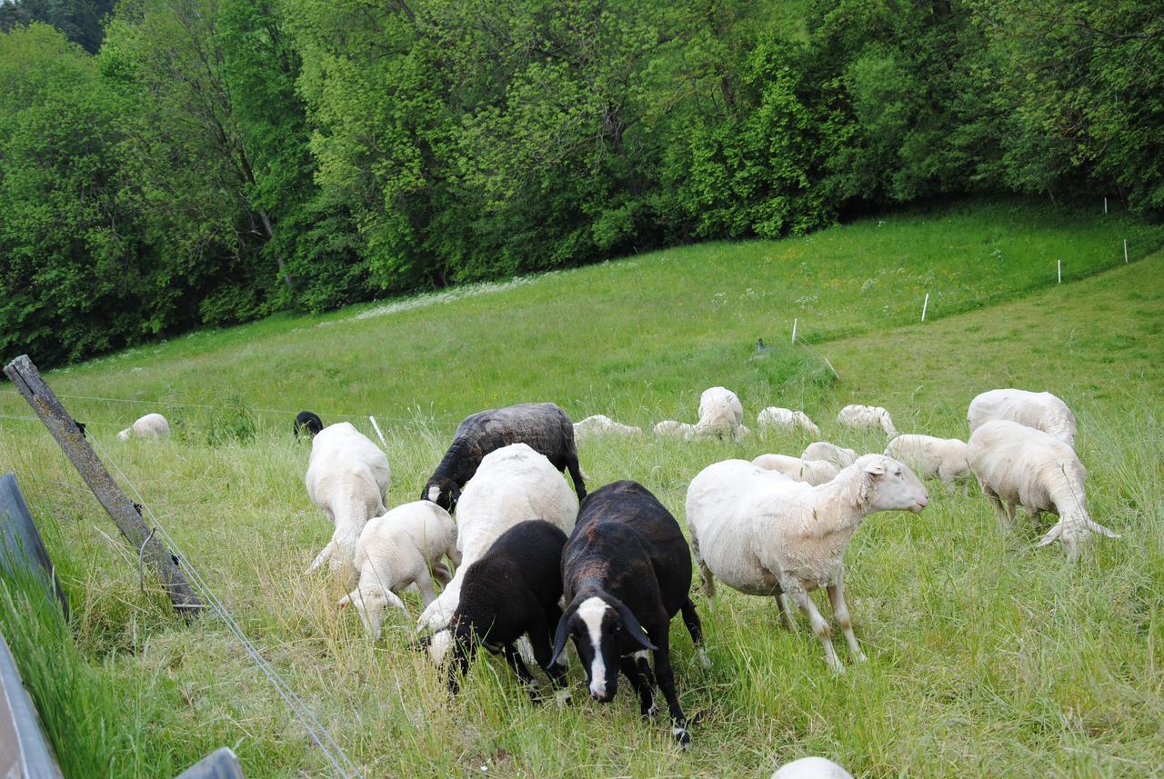 Landgasthof Seyrlberg Reichenau im Mühlkreis Buitenkant foto