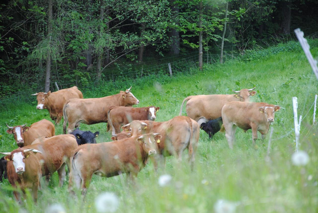 Landgasthof Seyrlberg Reichenau im Mühlkreis Buitenkant foto